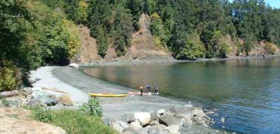 people on shore surrounded by trees