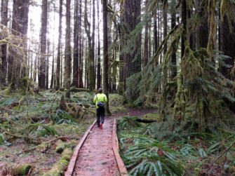 Walking through the woods in winter