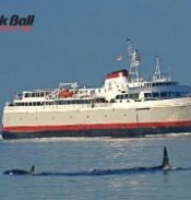 Black Ball boat with whale in foreground