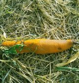 banana on ground