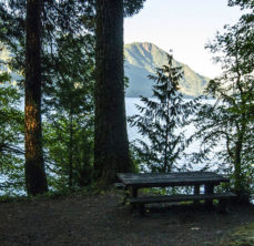 picnic bench at top of hill over body of water with mountain in distance