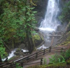 Marymere Falls at Lake Crescent