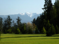 View of snow-capped mountain from lawn